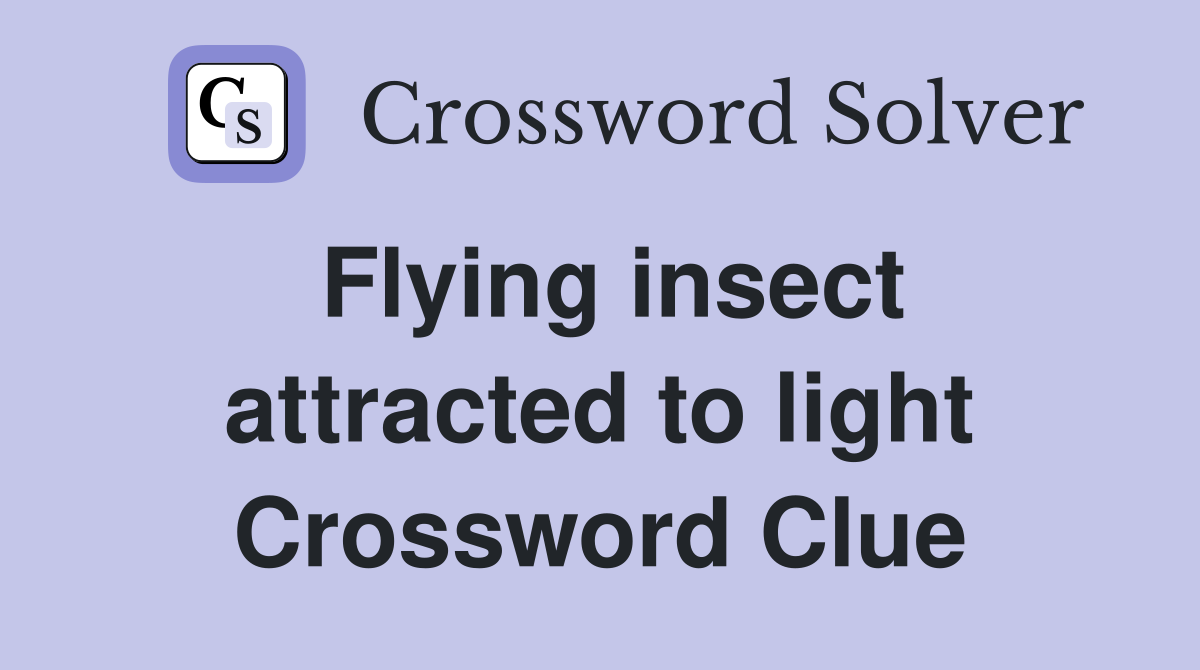 Flying insect attracted to light Crossword Clue