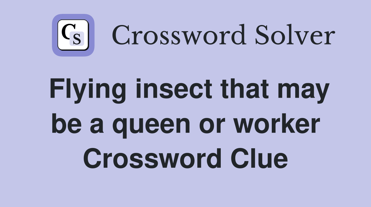 Flying insect that may be a queen or worker Crossword Clue