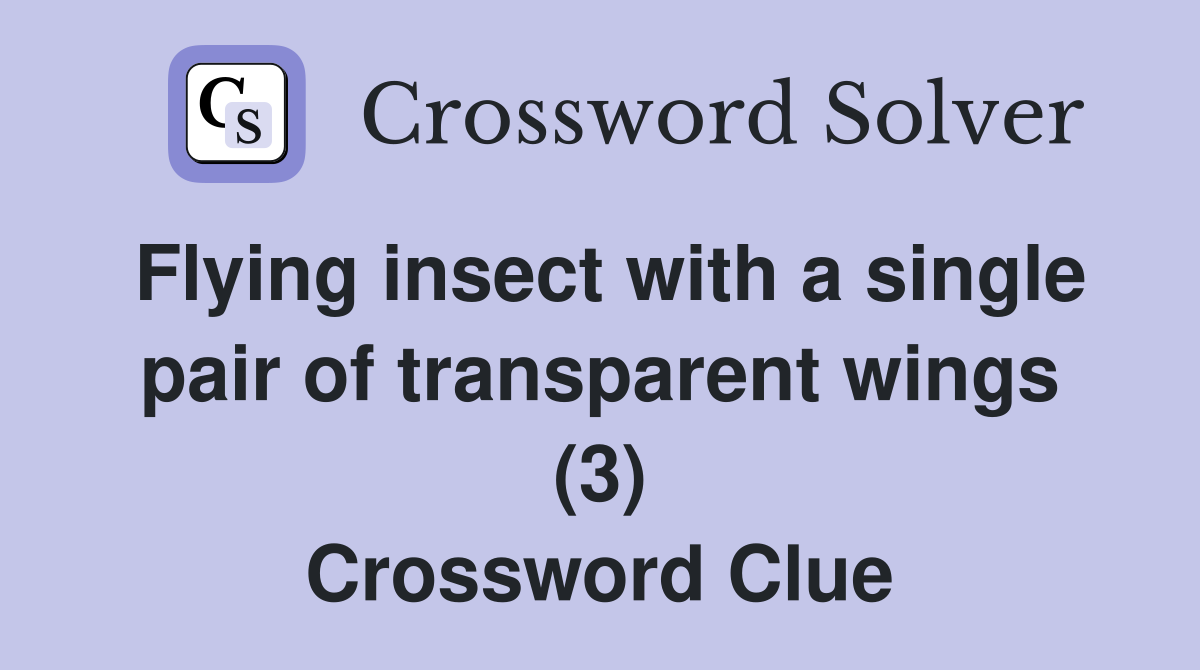 Flying insect with a single pair of transparent wings (3) Crossword Clue