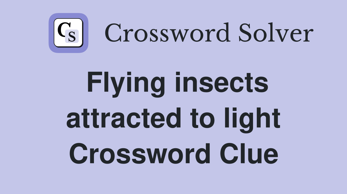 Flying insects attracted to light Crossword Clue