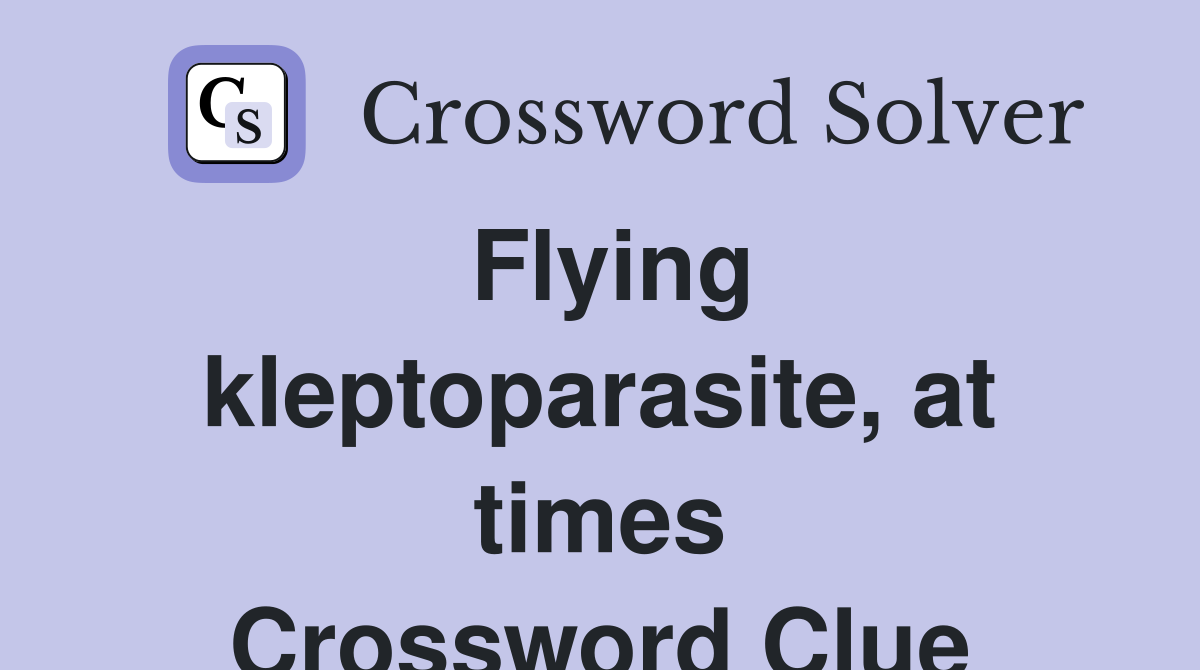 Flying kleptoparasite, at times Crossword Clue