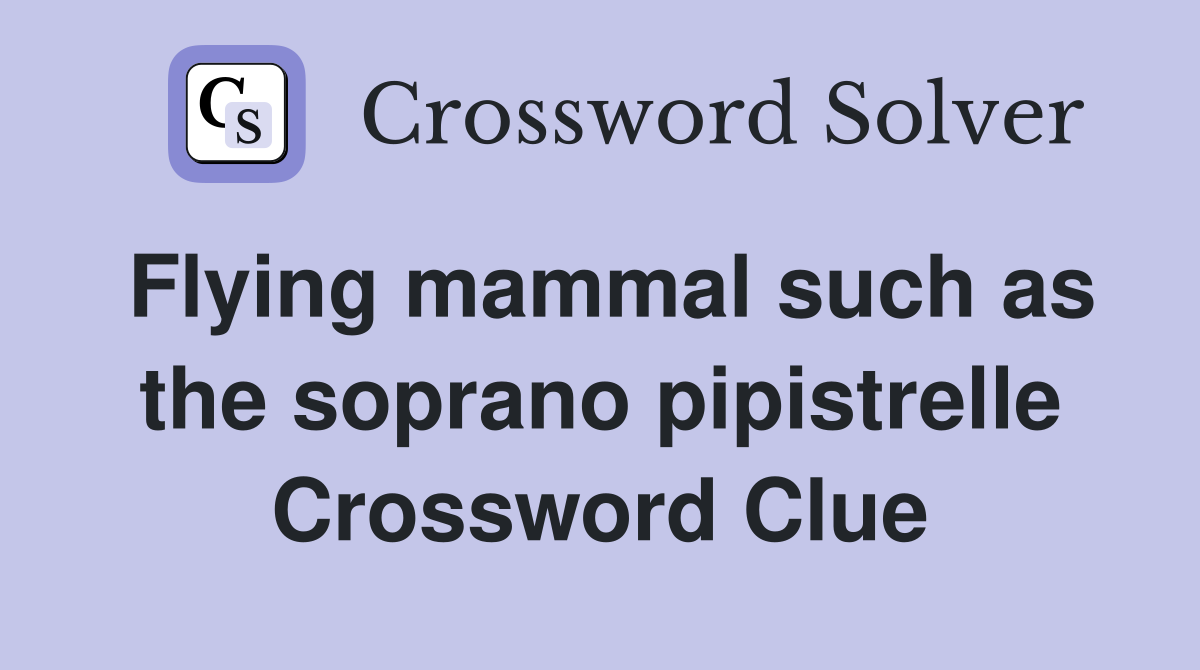 Flying mammal such as the soprano pipistrelle Crossword Clue
