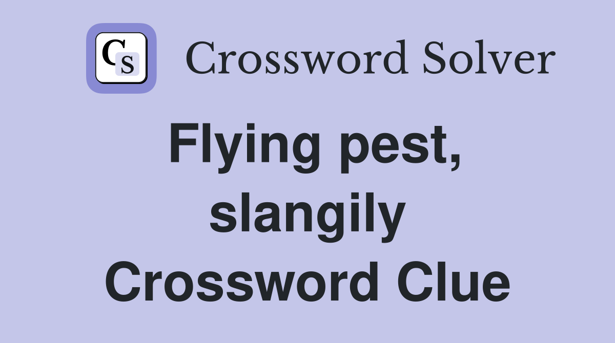 Flying pest, slangily Crossword Clue