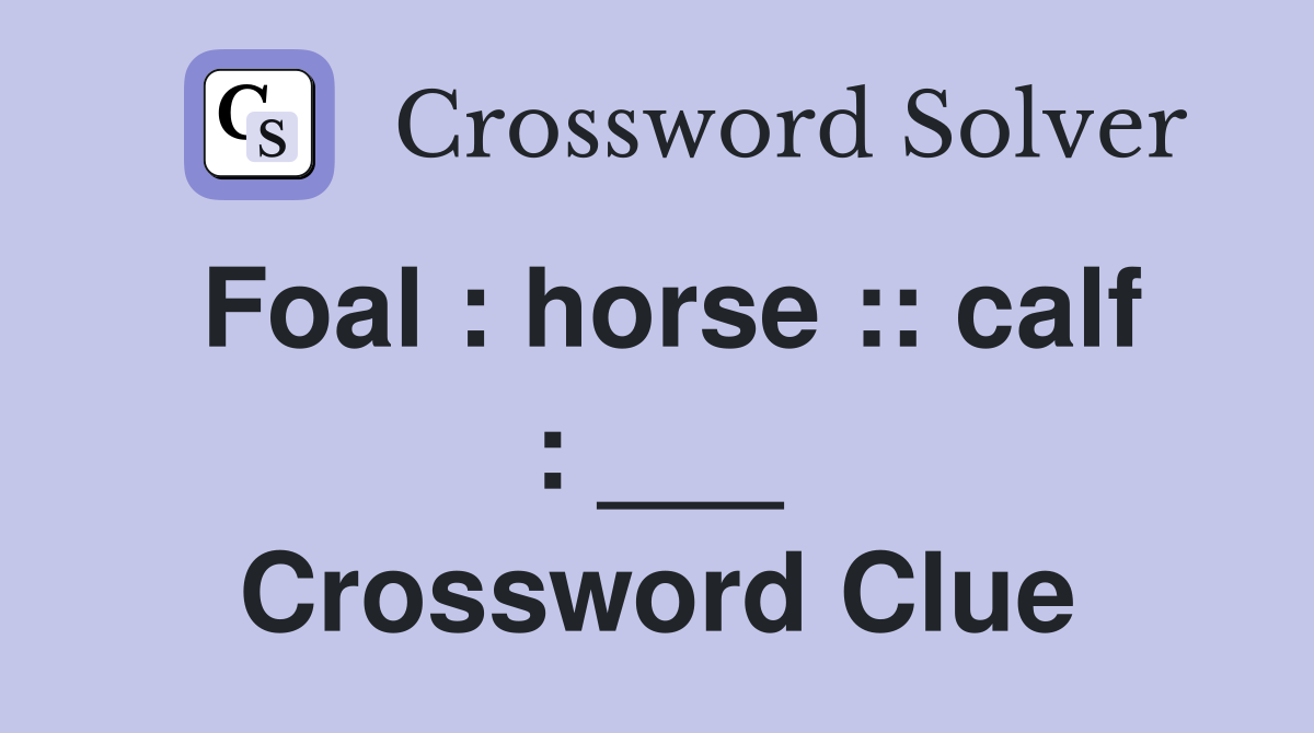 Foal : horse :: calf : ___ Crossword Clue