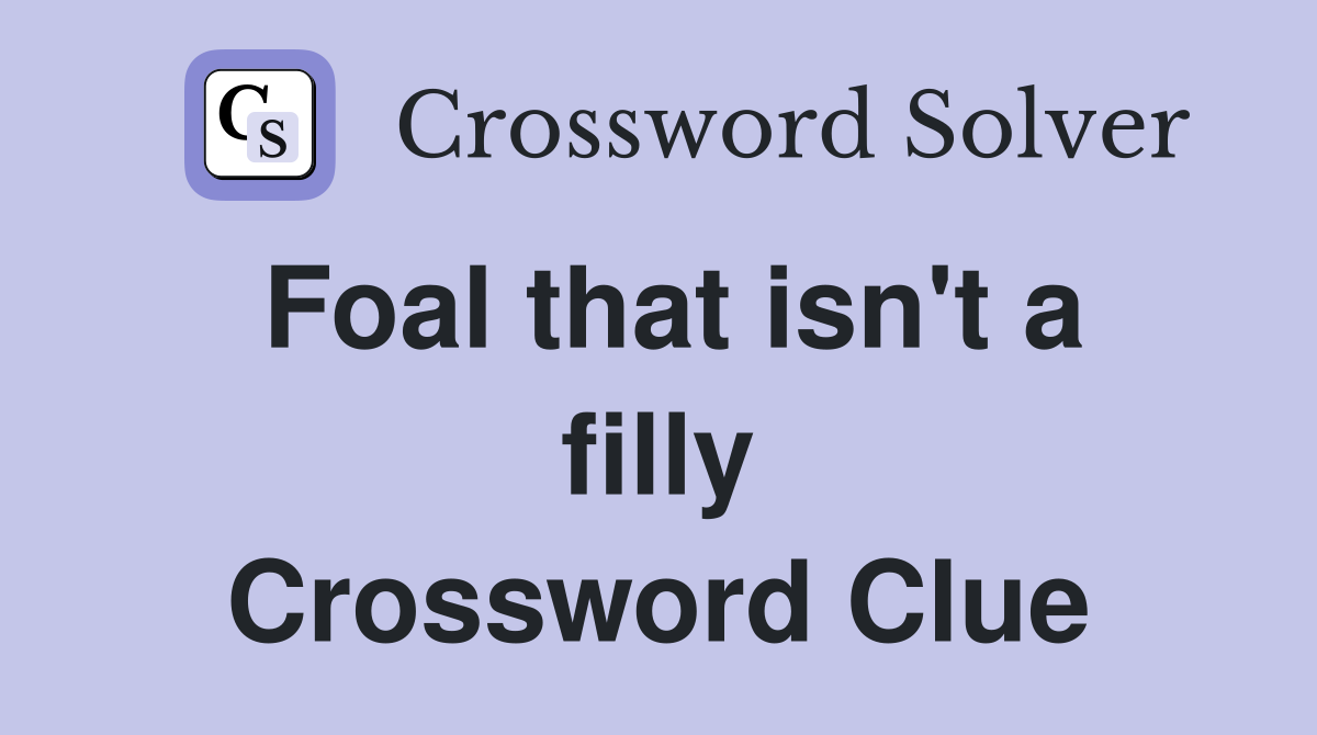 Foal that isn't a filly Crossword Clue