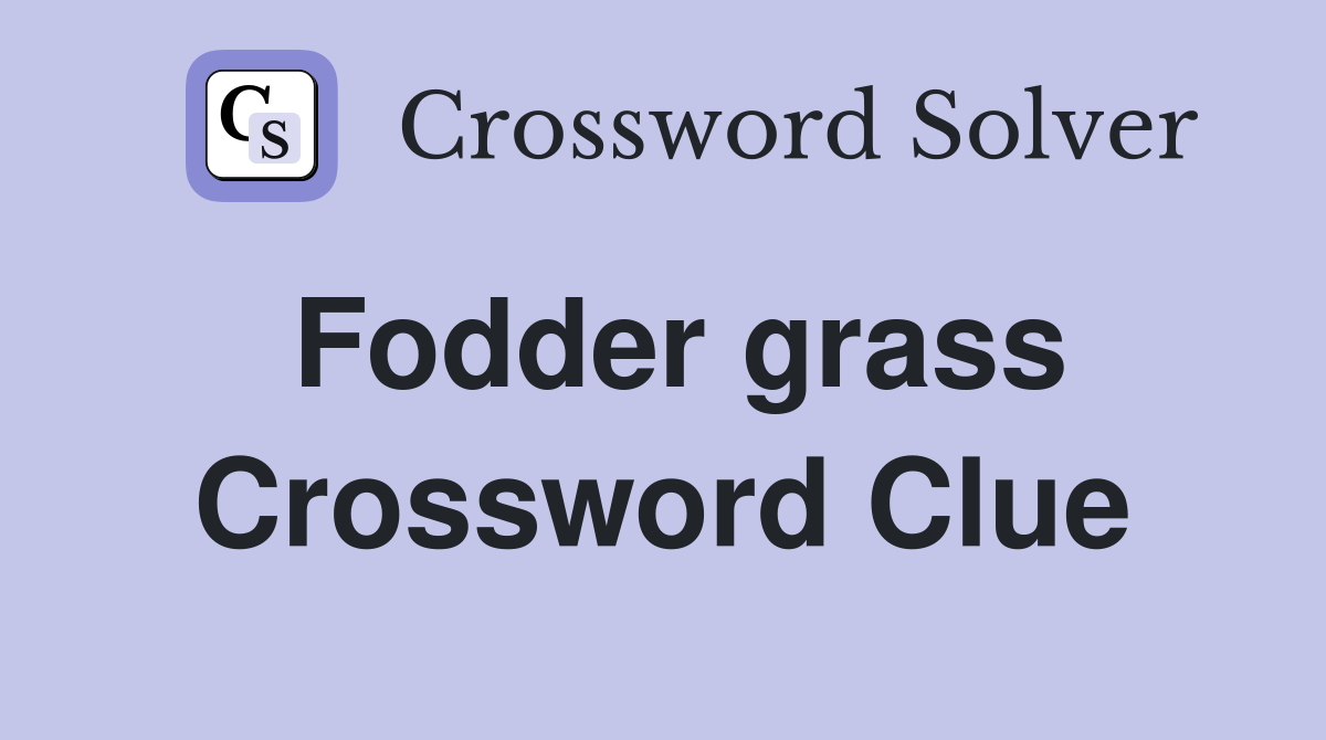 Fodder grass Crossword Clue