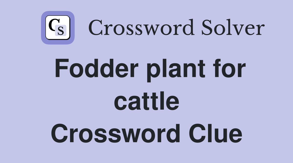 Fodder plant for cattle Crossword Clue Answers Crossword Solver
