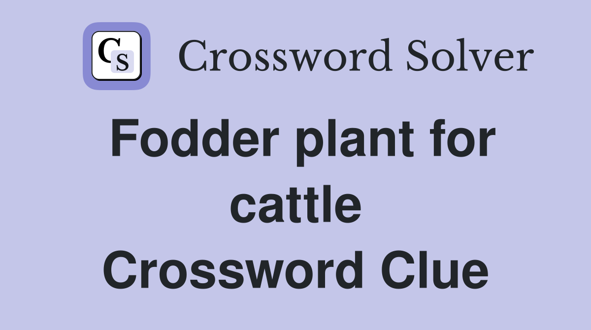 Fodder plant for cattle Crossword Clue