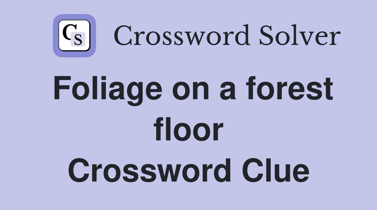 Foliage on a forest floor Crossword Clue