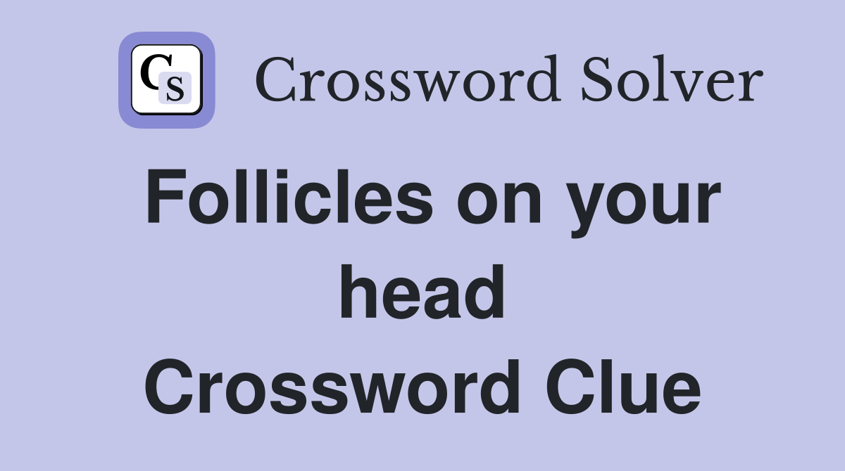 Follicles on your head Crossword Clue