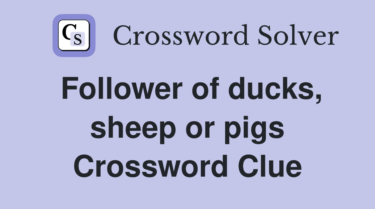 Follower of ducks, sheep or pigs Crossword Clue