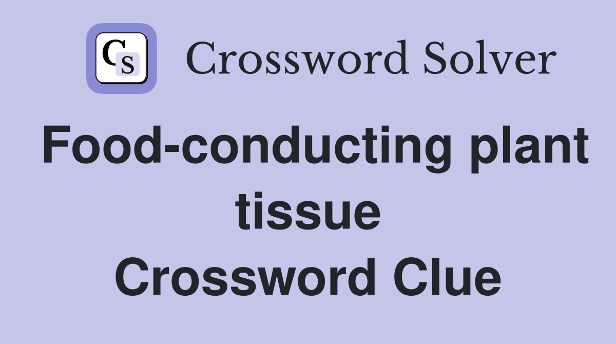 Food-conducting plant tissue Crossword Clue