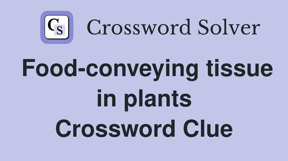 Food-conveying tissue in plants Crossword Clue