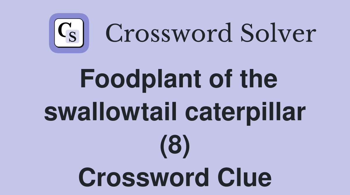Foodplant of the swallowtail caterpillar (8) Crossword Clue