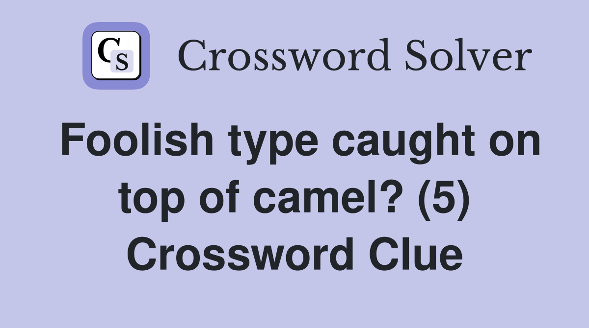 Foolish type caught on top of camel? (5) Crossword Clue