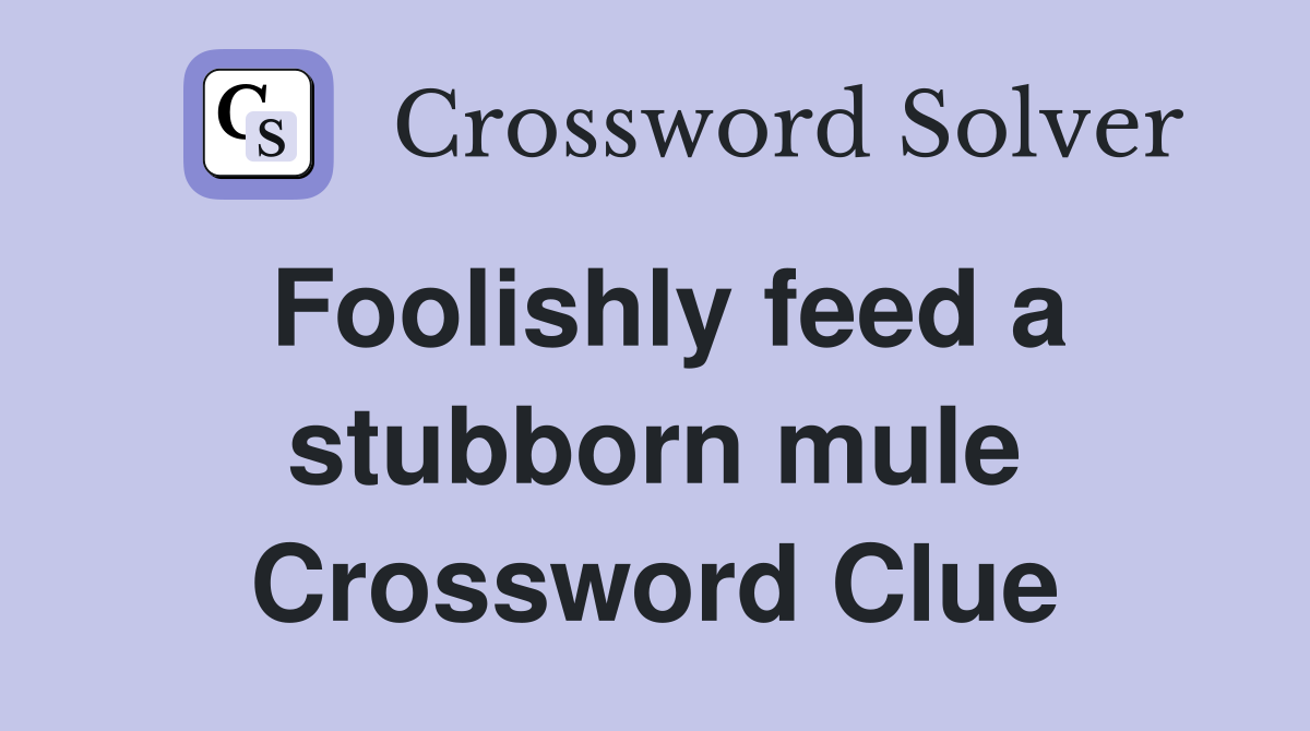Foolishly feed a stubborn mule Crossword Clue