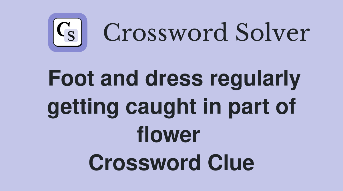 Foot and dress regularly getting caught in part of flower  Crossword Clue