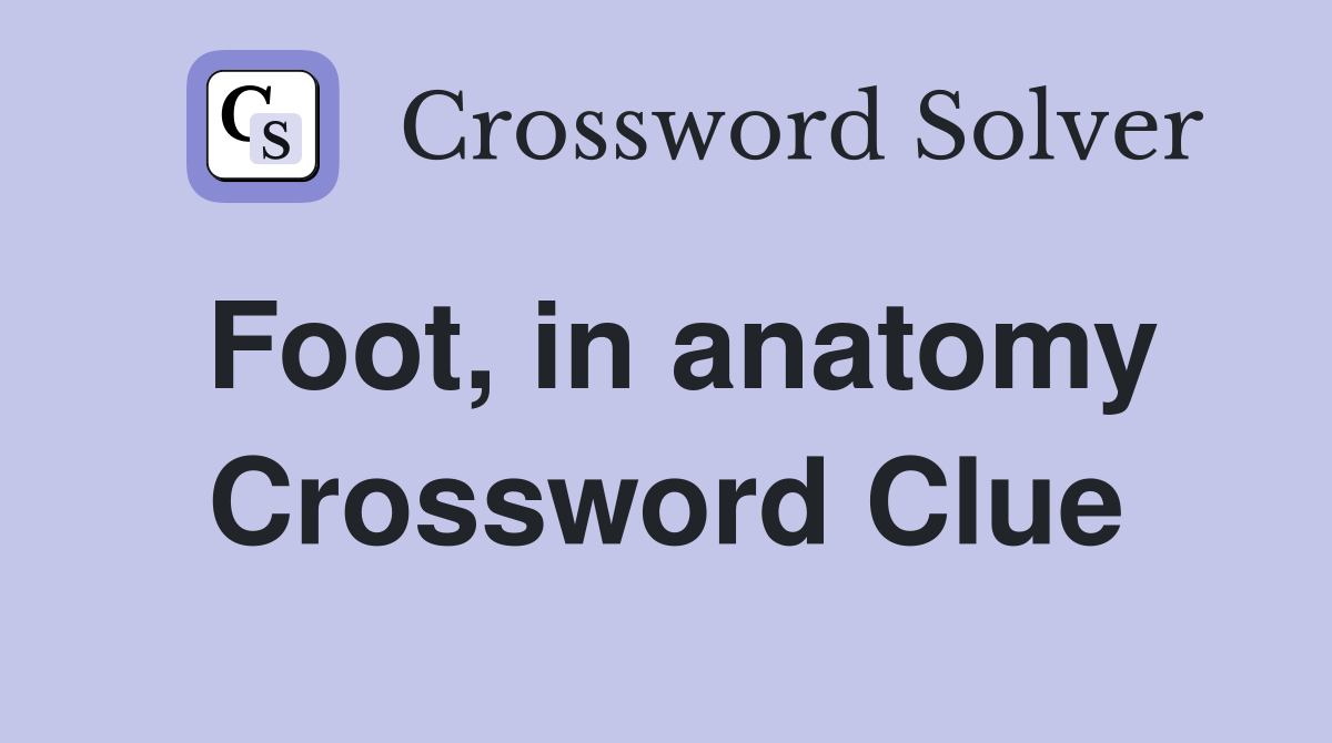 Foot, in anatomy Crossword Clue
