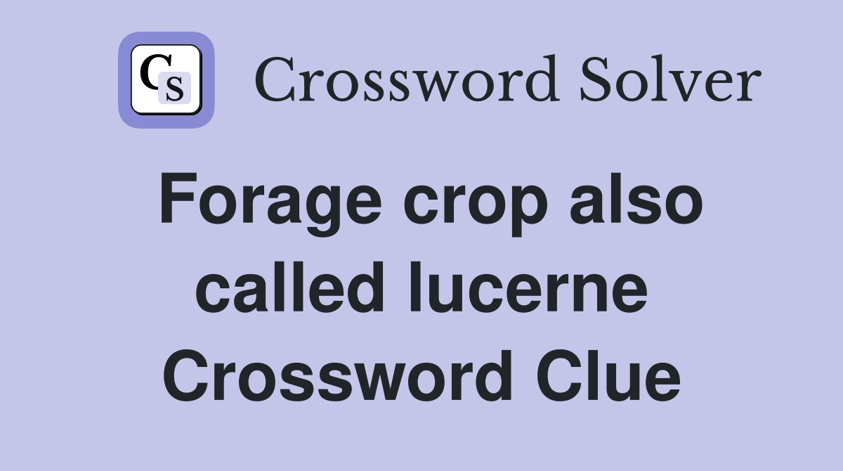 Forage crop also called lucerne Crossword Clue