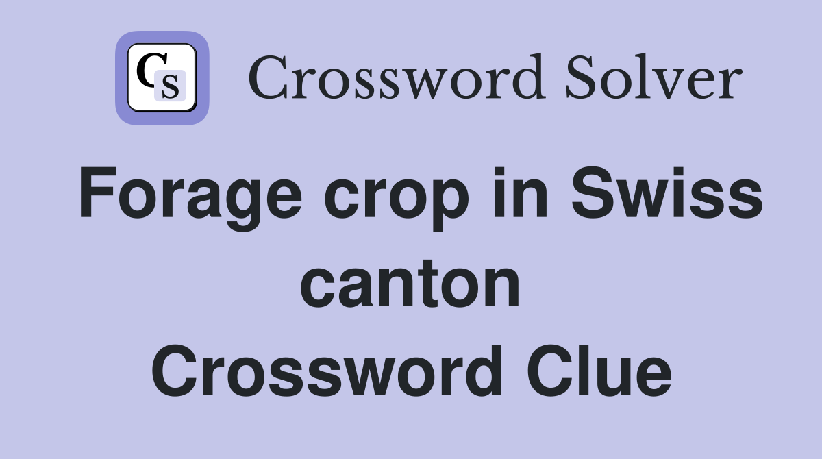 Forage crop in Swiss canton Crossword Clue