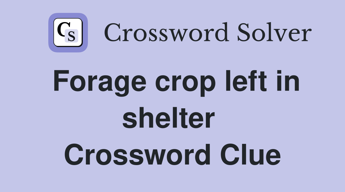 Forage crop left in shelter  Crossword Clue