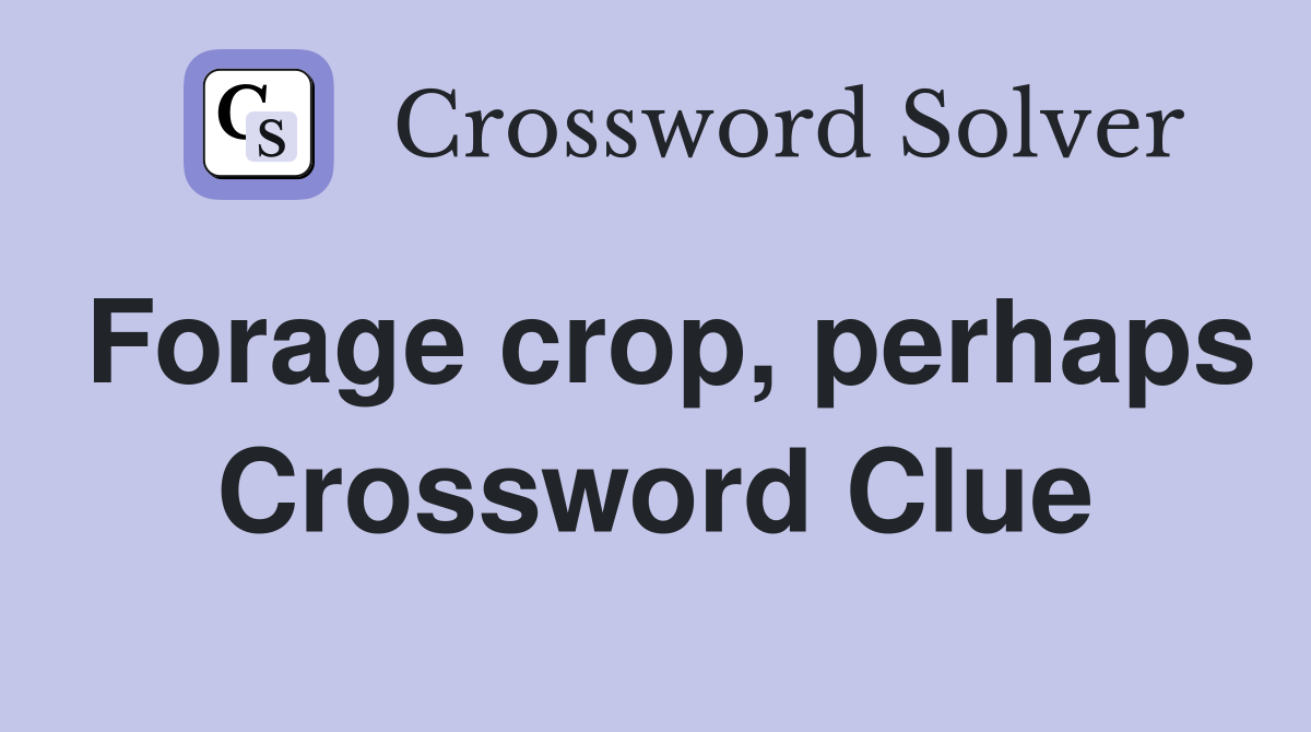 Forage crop, perhaps Crossword Clue