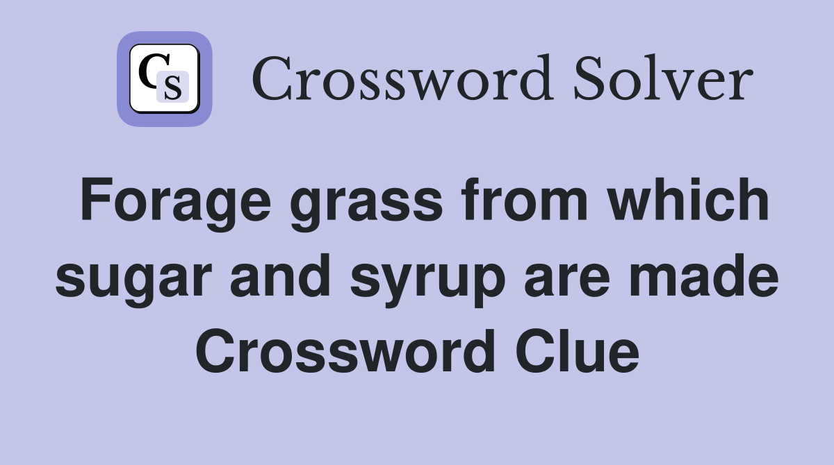 Forage grass from which sugar and syrup are made Crossword Clue