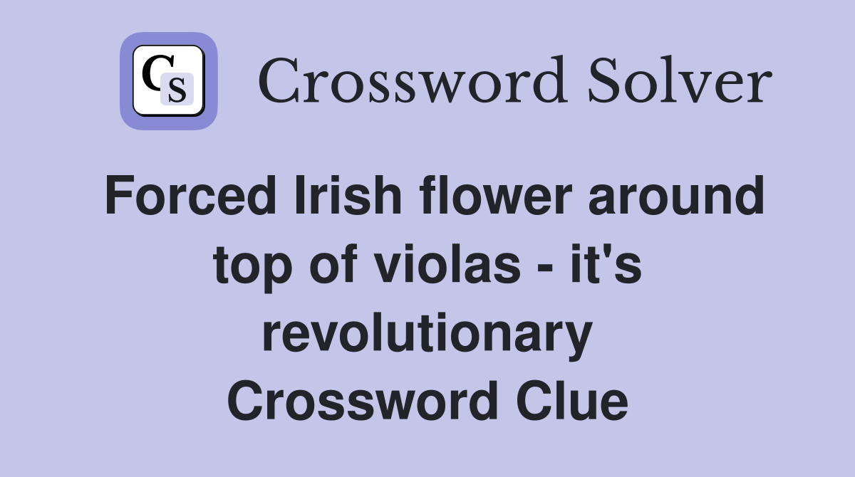 Forced Irish flower around top of violas - it's revolutionary Crossword Clue