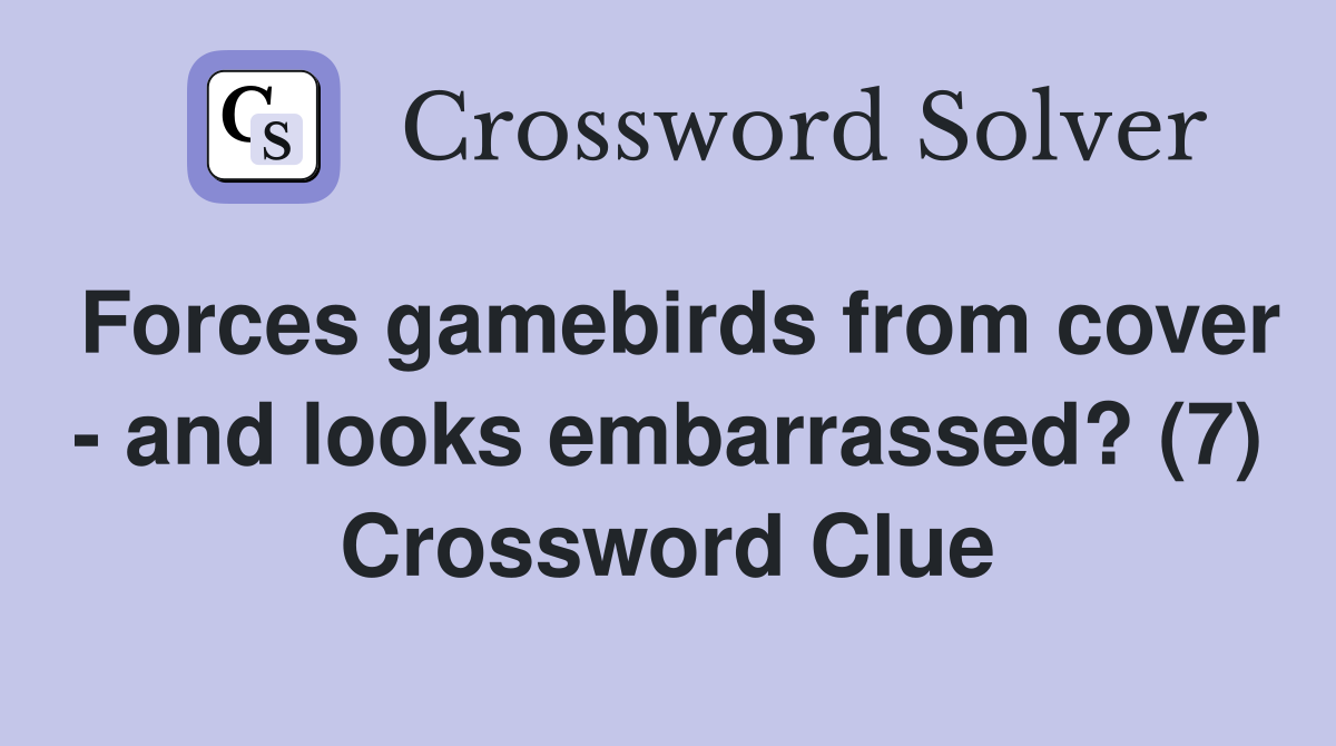 Forces gamebirds from cover - and looks embarrassed? (7) Crossword Clue