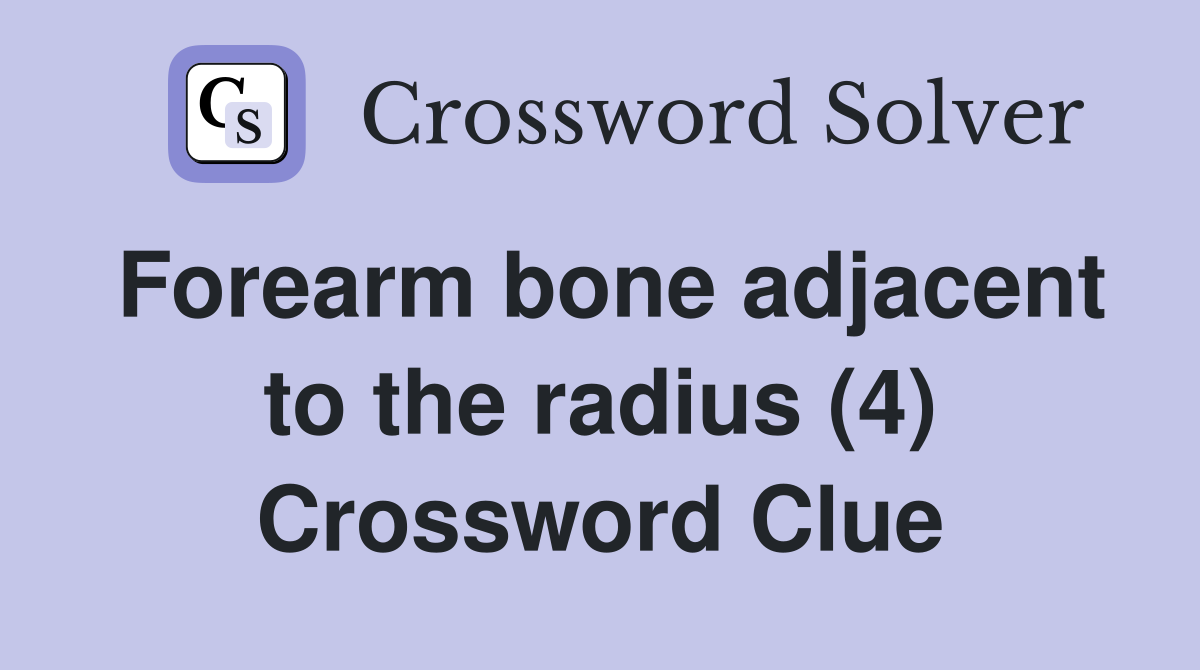 Forearm bone adjacent to the radius (4) Crossword Clue