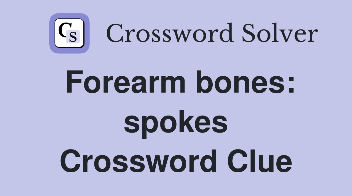 Forearm bones: spokes Crossword Clue