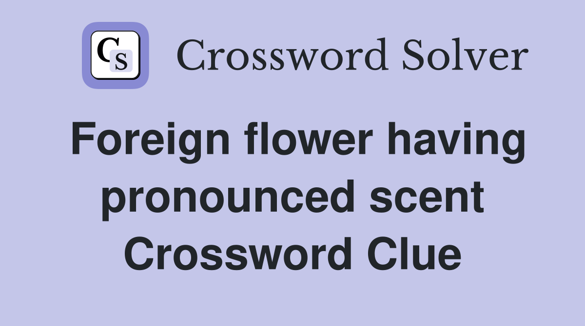 Foreign flower having pronounced scent Crossword Clue