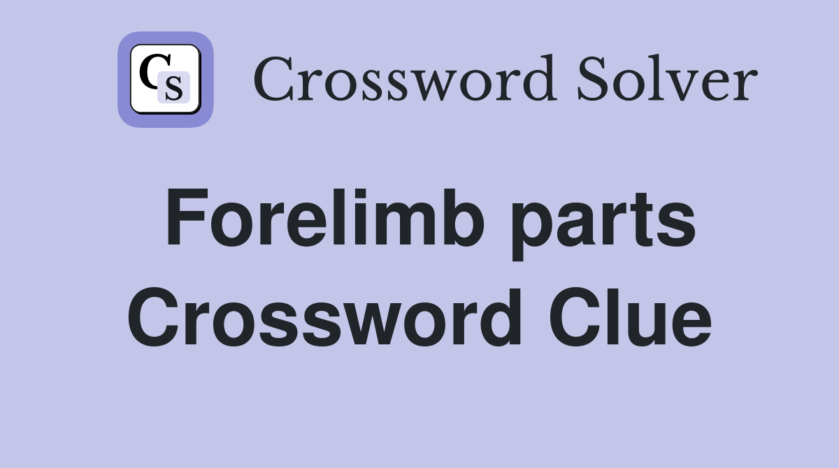 Forelimb parts Crossword Clue