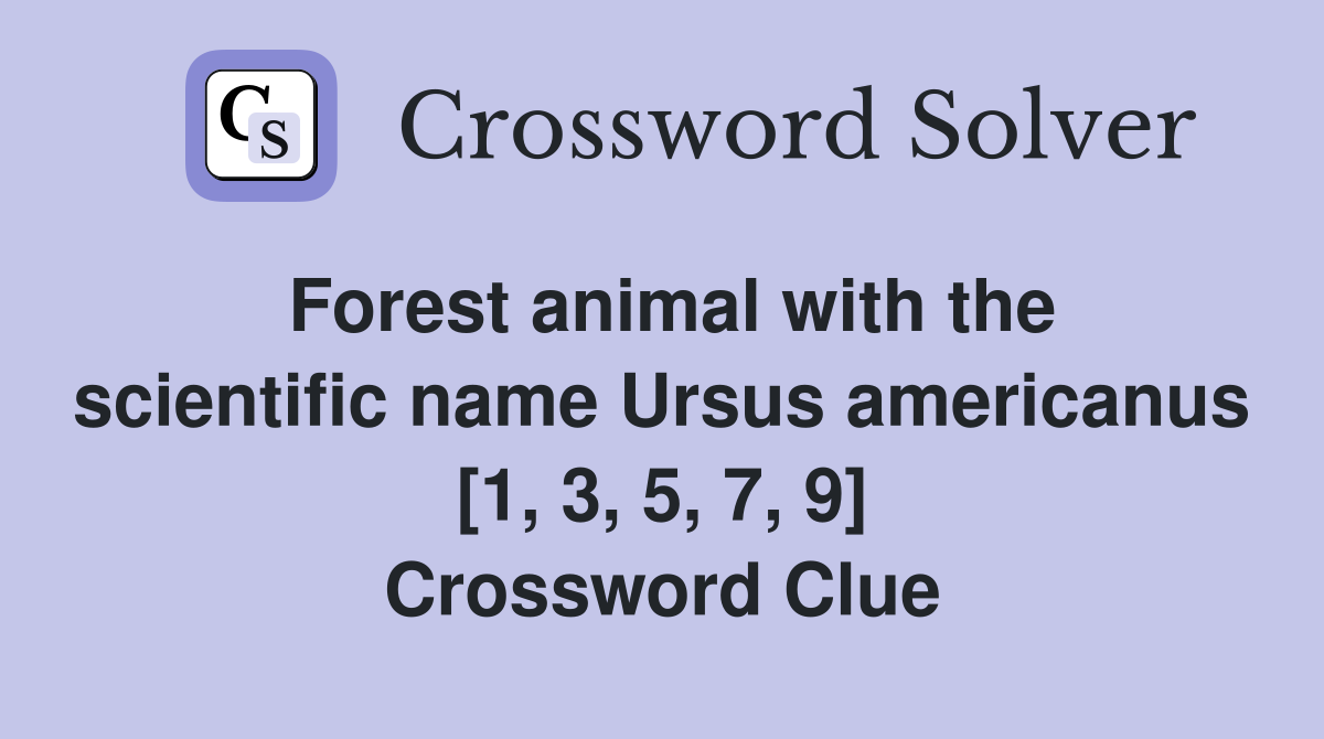 Forest animal with the scientific name Ursus americanus [1, 3, 5, 7, 9] Crossword Clue