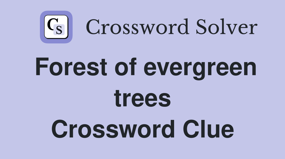 Forest of evergreen trees Crossword Clue