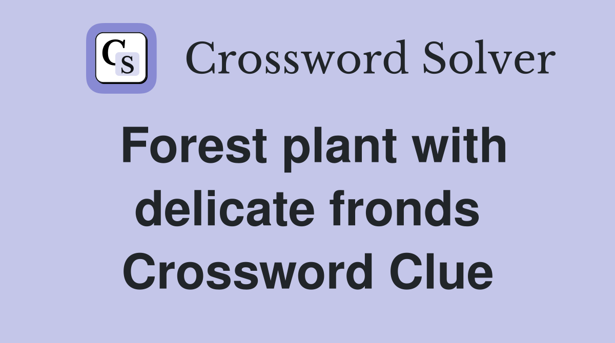 Forest plant with delicate fronds Crossword Clue
