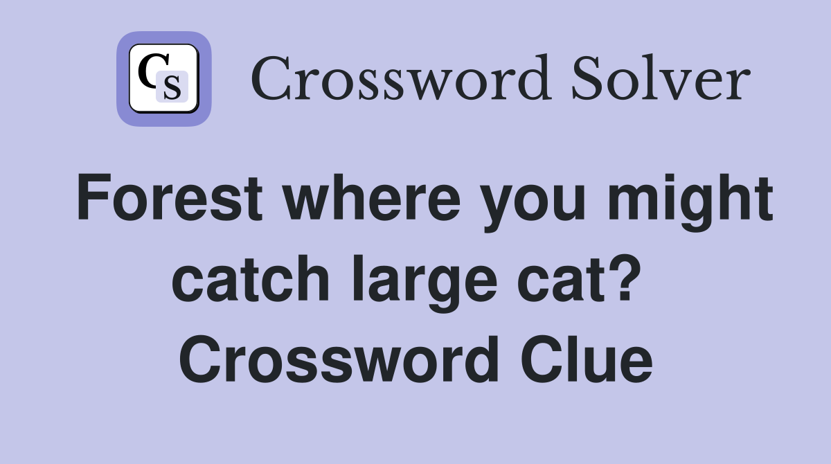 Forest where you might catch large cat?  Crossword Clue