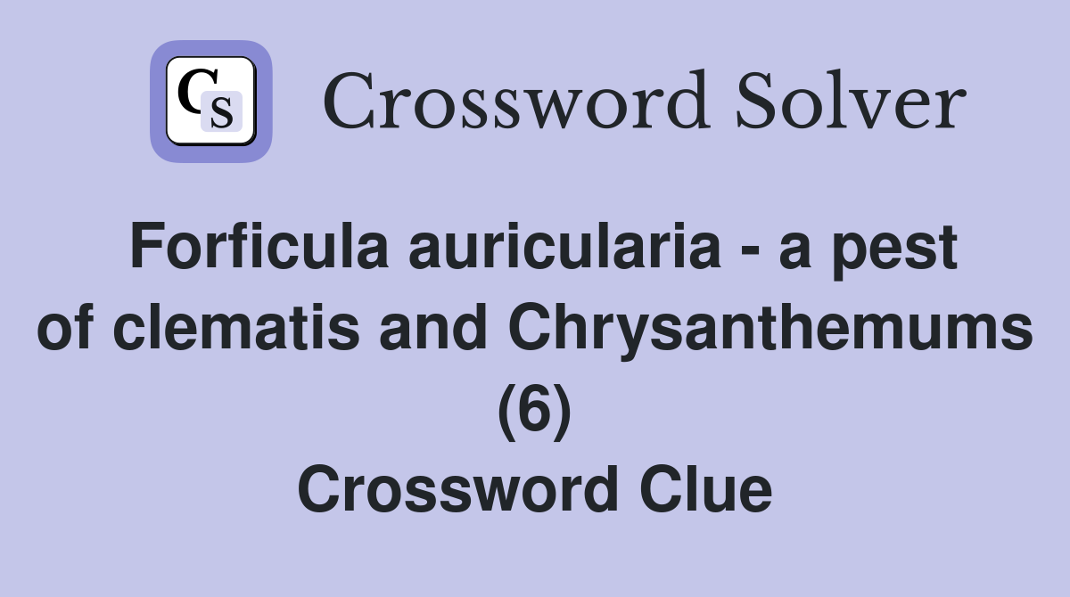 Forficula auricularia - a pest of clematis and Chrysanthemums (6) Crossword Clue
