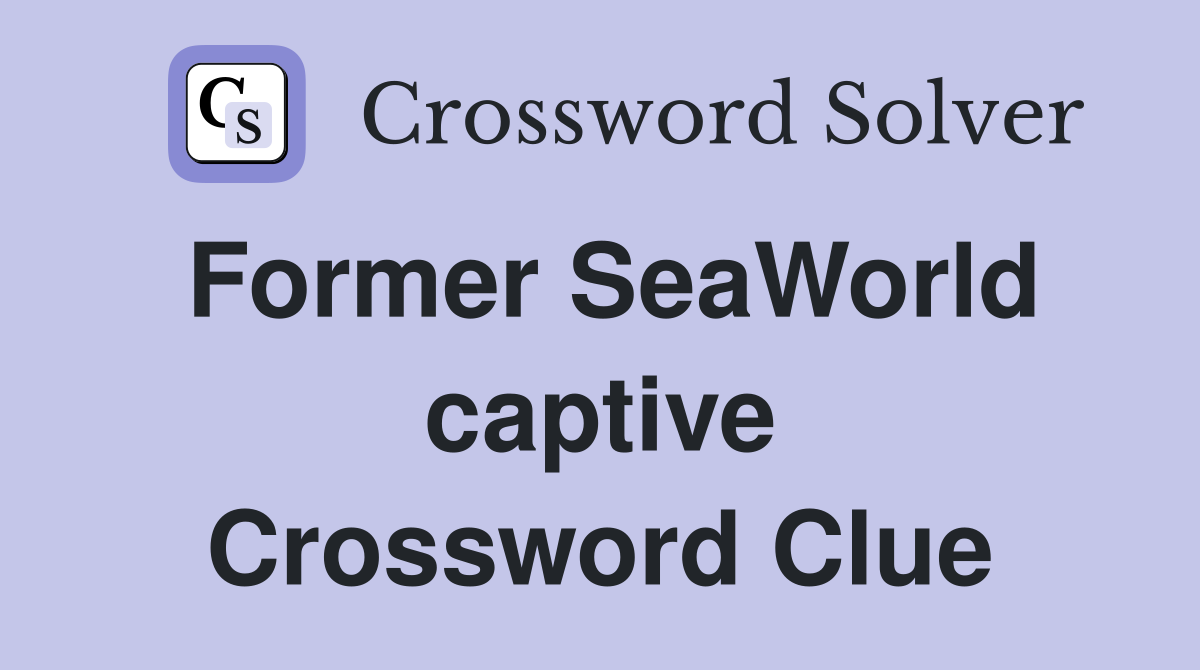 Former SeaWorld captive Crossword Clue