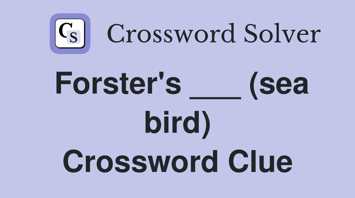Forster's ___ (sea bird) Crossword Clue