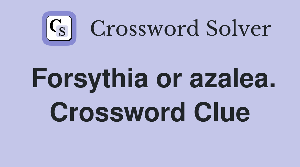 Forsythia or azalea. Crossword Clue
