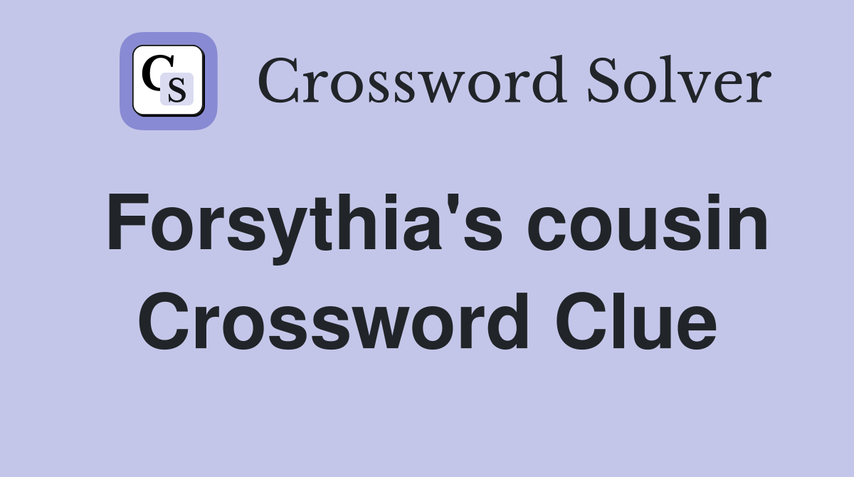 Forsythia's cousin Crossword Clue