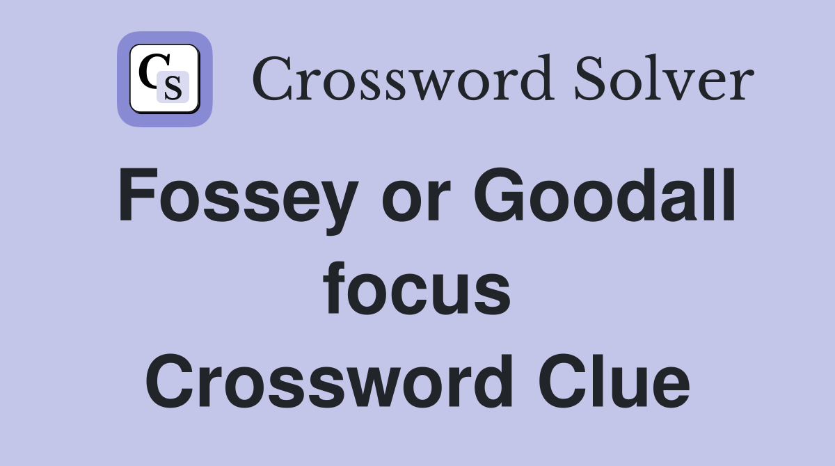 Fossey or Goodall focus Crossword Clue