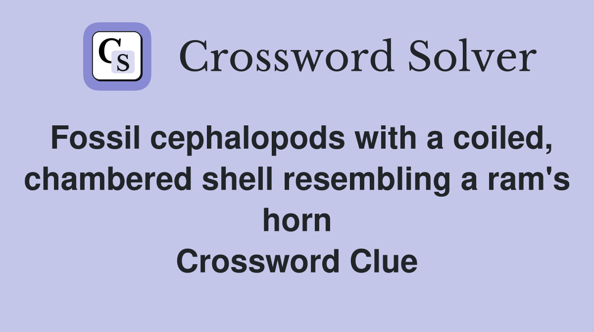 Fossil cephalopods with a coiled, chambered shell resembling a ram's horn Crossword Clue
