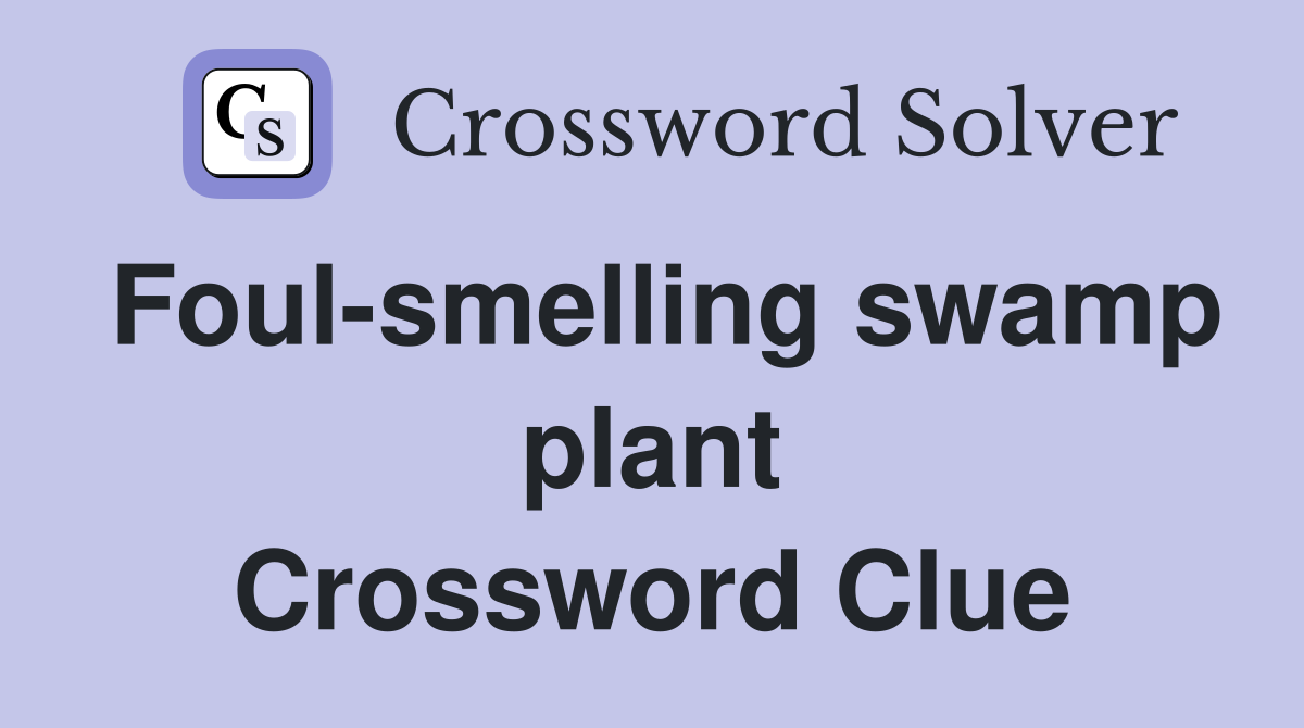 Foul-smelling swamp plant Crossword Clue