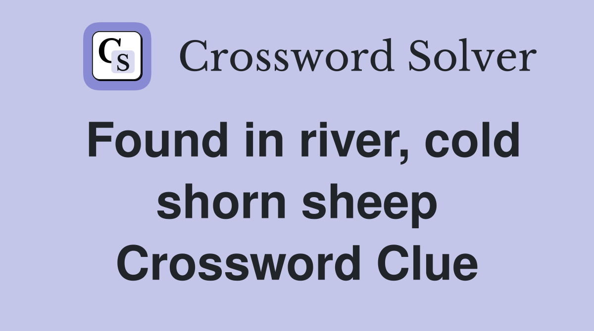 Found in river, cold shorn sheep Crossword Clue