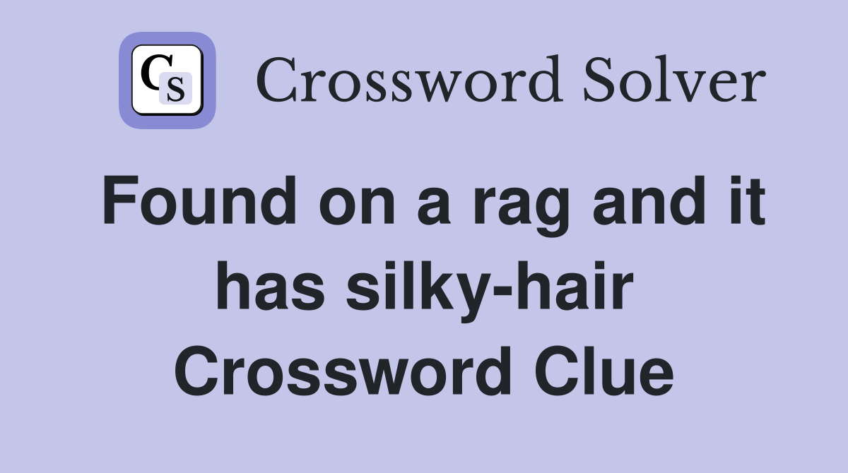 Found on a rag and it has silky-hair Crossword Clue