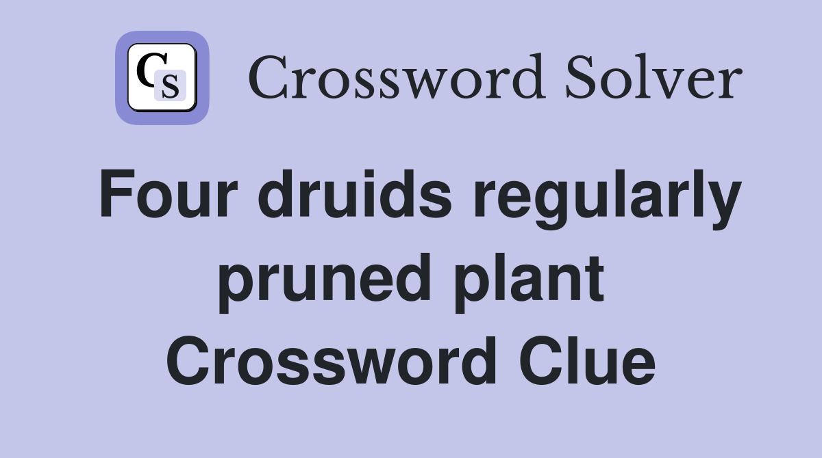 Four druids regularly pruned plant Crossword Clue