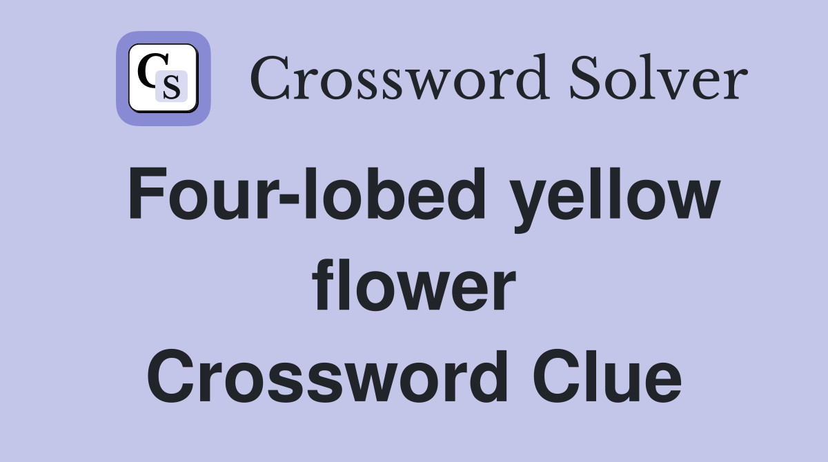 Four-lobed yellow flower Crossword Clue