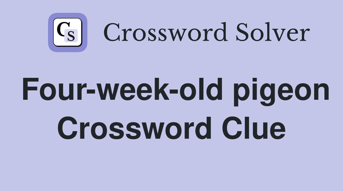 Four-week-old pigeon Crossword Clue